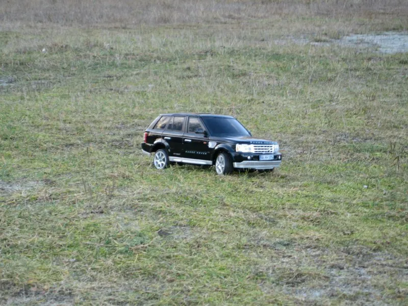Auf Gras geht es besser.
